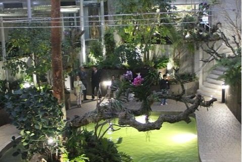 jardin botanico orquidario estepona jardin botanico orquidario estepona
