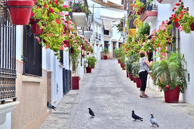 Estepona, Jardín de la Costa del Sol 02