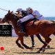 Costa del Sol Beach Polo Cup en Estepona 2