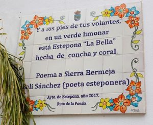 Poema a Sierra Bermeja