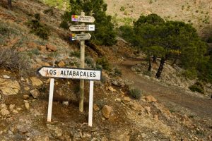altabacales altabacales