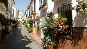 calle 3 calle 3