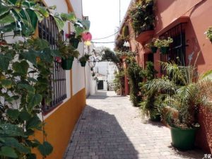estepona calle jubrique estepona calle jubrique