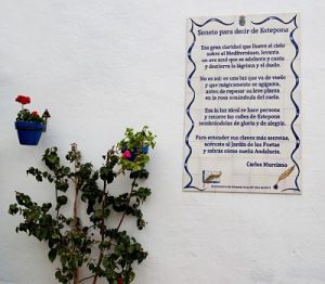 Sonetos de Estepona