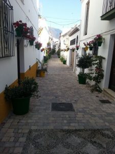 calle 5 calle 5