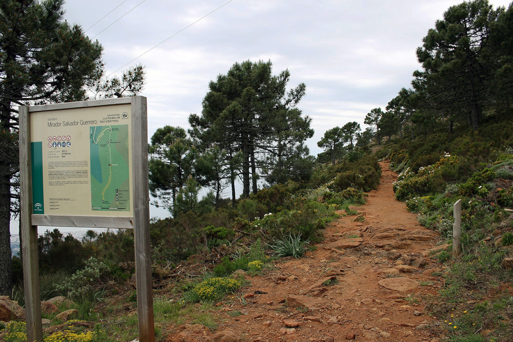 sendero pico de los reales sendero pico de los reales