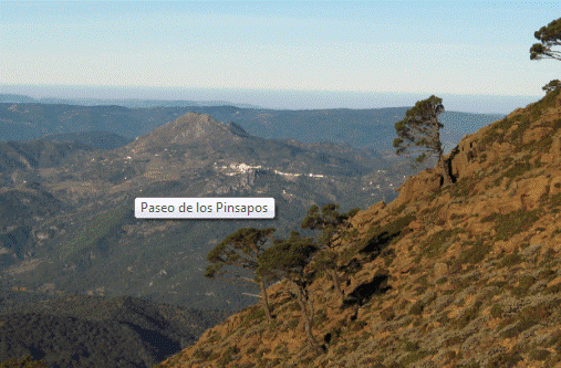 Hacer ruta a pie por Estepona 01