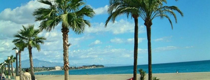 Health and Estepona 01