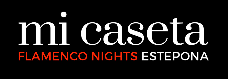 noche de flamenco en micaseta