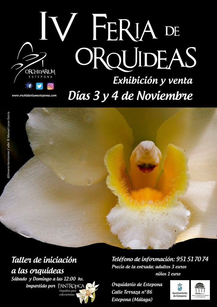 IV Feria de Orquídeas en Estepona 01