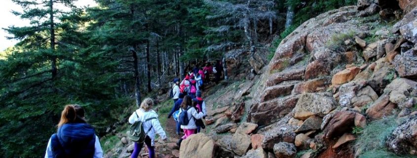 Practicar deporte en Estepona 01