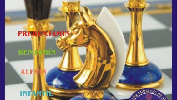 campeonato provincial de ajedrez