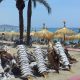 Origen e Historia del Espeto de Sardinas