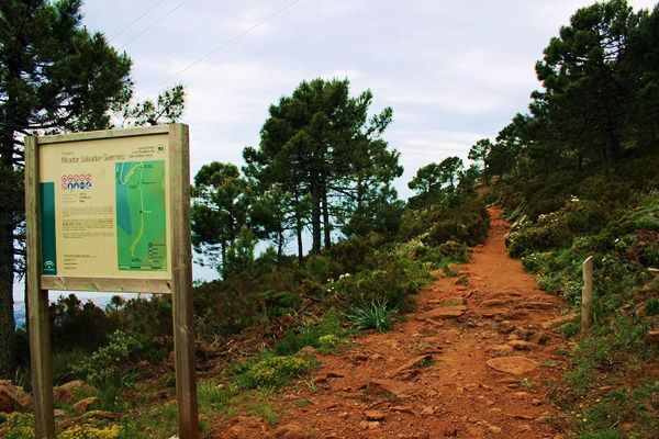 rutas de senderismo en Estepona SENDERO PICO DE LOS REALES 01