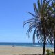 Paseo marítmo de estepona