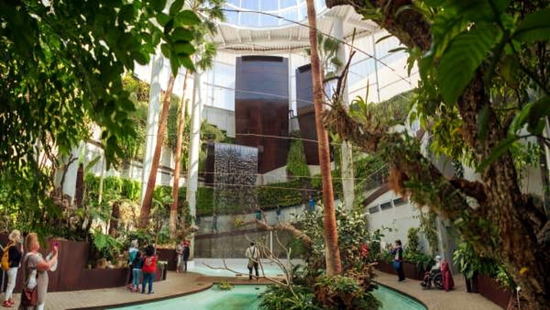 Estepona en un día orquidario