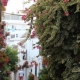 Turismo en Estepona_ Ruta Urbana de 4 horas