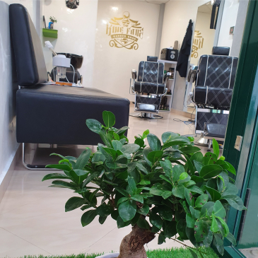 the king barber shop estepona