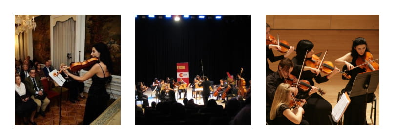 Proyecto 2020 de la CMSO - Orquesta Titular del Teatro Auditorio Felipe VI de Estepona