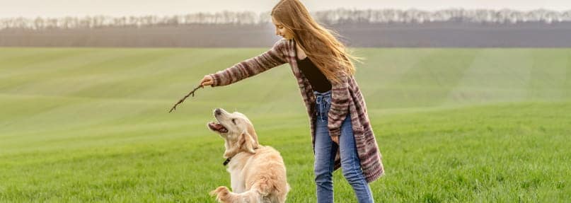 pasear o hacer deporte con tu mascota en la Fase 0