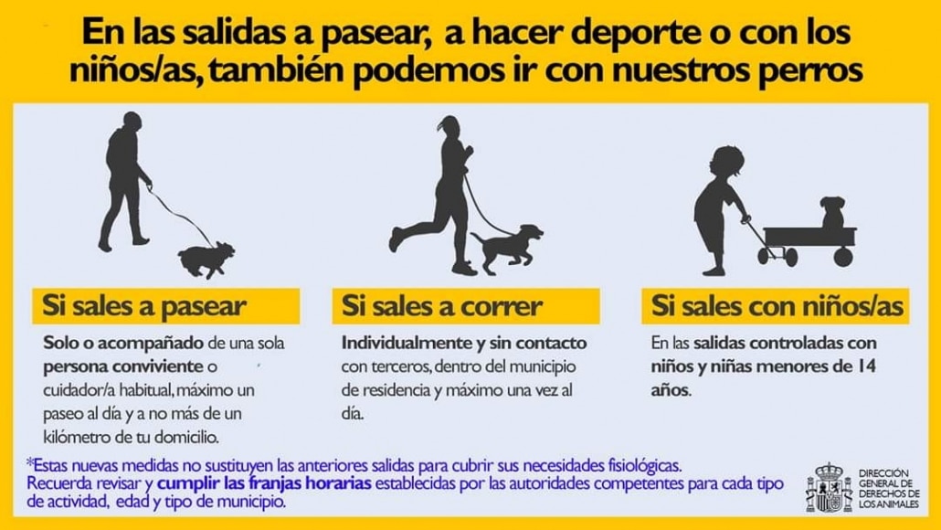 ¿Se puede pasear o hacer deporte con tu mascota en la Fase 0