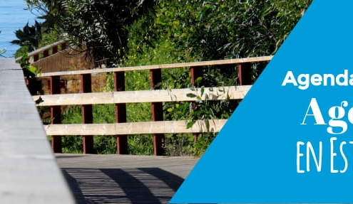 agenda cultural agosto estepona